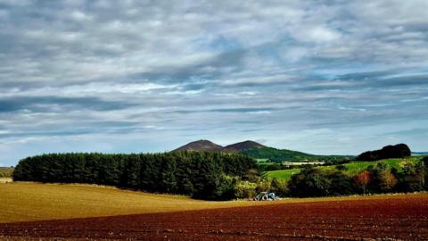 Blue sky filled with cloud sits over two mountains with hedges and trees in front 