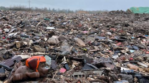 A small plastic toy dog sits on the edge of a vast waste dump, a mound of mixed rubbish which disappears into the distance where the horizon is lined with trees