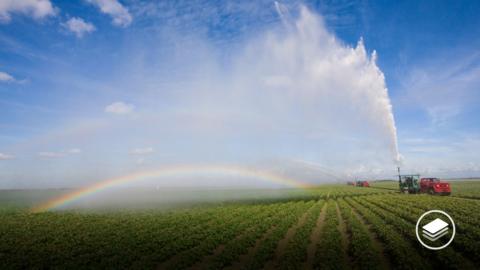 A photograph of crops in a field being watered by a vehicle. A rainbow has appeared in the water. 
