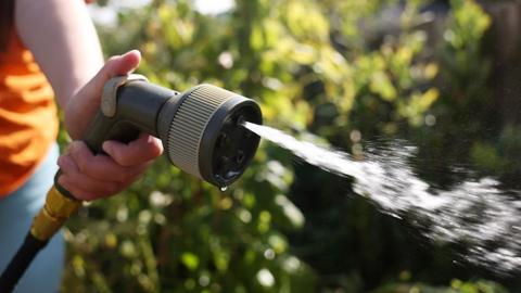 Water coming out of a hose