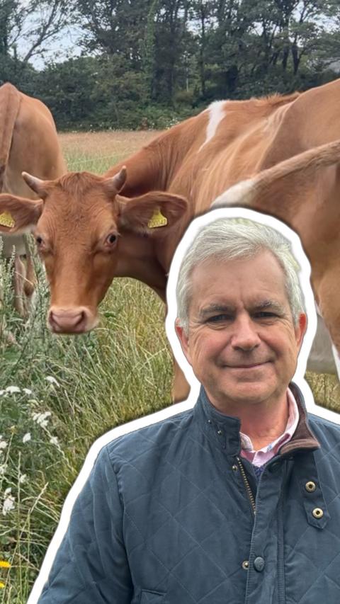 A man with white hair wearing a blue coat with a photo of a brown Guernsey cow behind him