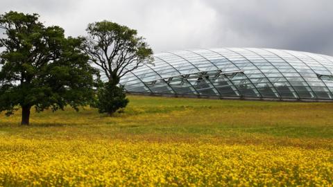 Tŷ Gwydr Gardd Fotaneg Genedlaethol Cymru