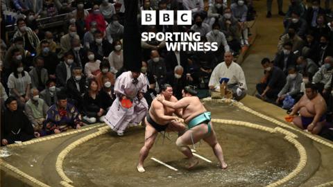 Sporting Witness