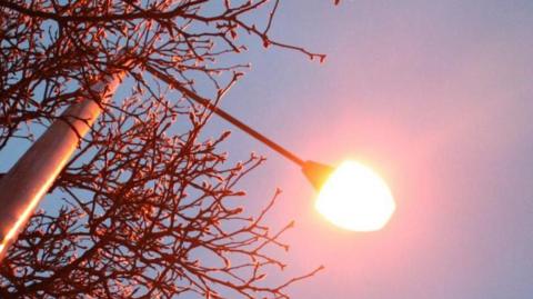 A lit street light is seen from its base. It illuminates the area immediately around it. A darkened sky is in the background, and the light is in front of a tree which has no leaves but many branches.