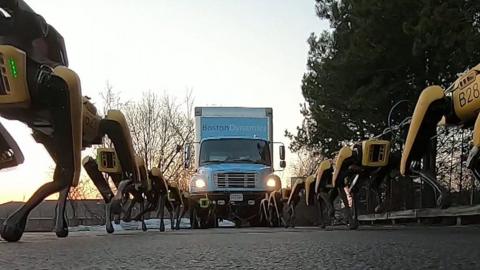Robot dogs pull a truck