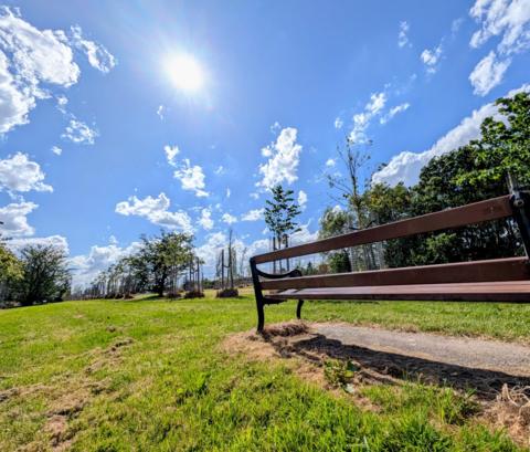 Sunny park scene with a wooden bench under a bright blue sky in Ashton in Makerfield, Wigan
