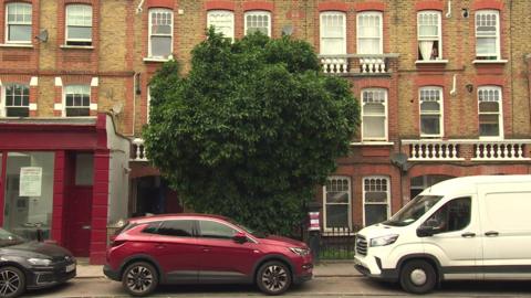 The grapefruit tree seen in front of houses on Queenstown Road in Battersea