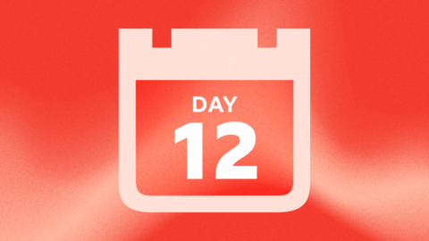 Day 12