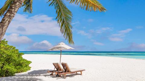 A beach lounger on a white-sand beach underneath a green palm tree and blue sky, with turquoise waters visible in the background