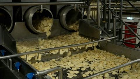 A moving conveyor belt showing freshly fired crisps moving along 