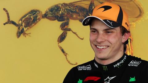 An image combining a photograph of an ancient fossilised wasp and a photo of F1 driver Oscar Piastri smiling 