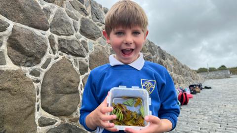 A young boy with sandy brown hair, wearing a pale blue polo shirt and royal blue school jumper over the top. He is holding a square plastic box containing brown and green seaweed. 