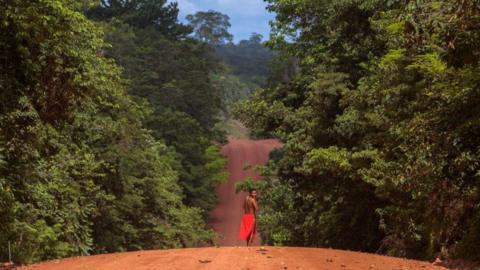 High earners were persuaded to invest in projects focused on reforesting areas of Brazil