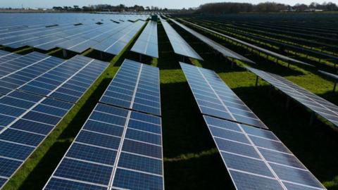 A stock image of a solar farm with rows of solar panels in a field. 