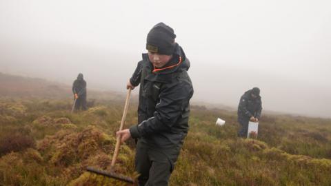 Tri yn casglu mwsogl mewn ardal niwlog