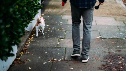 Someone walking on a pavement while walking a small dog