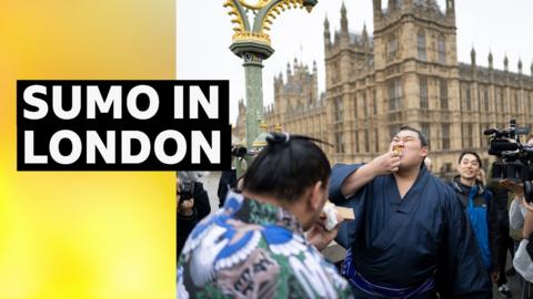Sumo wrestlers in London