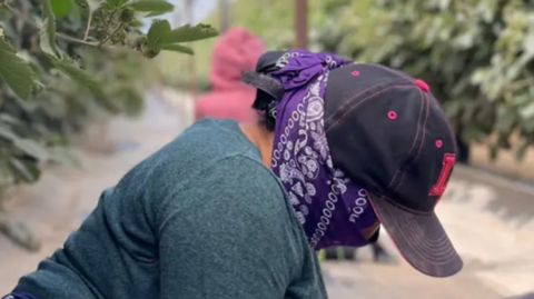A woman kneeling on the ground, wearing a purple bandana over her face and a hat. She hides from US immigration authorities