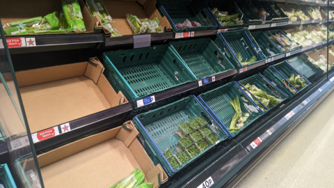 Half empty vegetable display in Tesco, Trafford