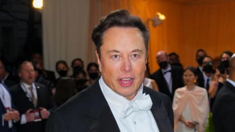 Elon Musk