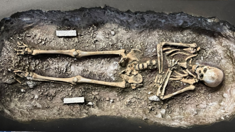 A scale model of a complete human skeleton in the ground