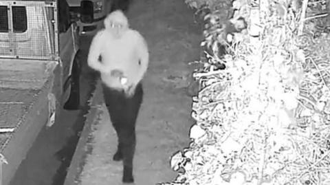 A black and white image. On the left is a van parked next to a grass verge. There is a person in a hoodie and trousers walking along the verge. On the right is a bush. 