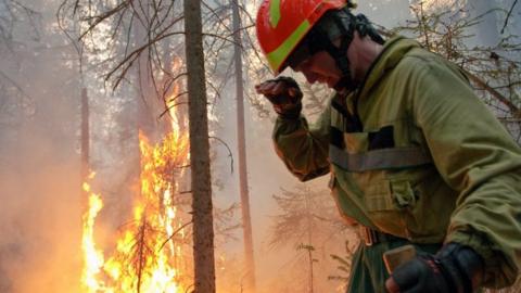 A Russian serviceman tackles wildfires in Krasnoyarsk region, Russia. Photo: 1 August 2019