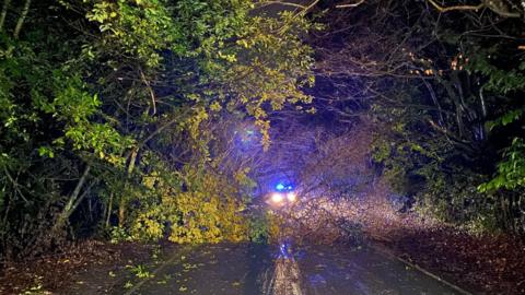 A fallen tree blocking the road in Bromsgrove, Worcestershire