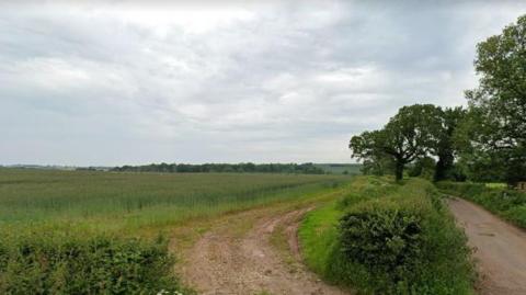 A large field. There are numerous trees to the right hand side with a dirt track running in the middle.