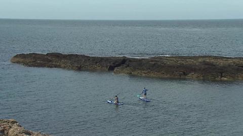 Stand up paddleboarders