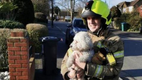 Fireman with dog in his arms