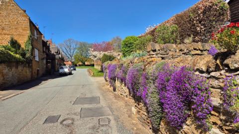 Purple flowers grow over a wall next to a road with houses on the left and blue sky behind