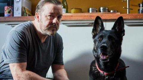 Ricky Gervais is on the left in a grey T-shirt looking at the camera. A German shepherd dog is on the right and cupboards are behind them.