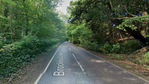 A road running between green trees.