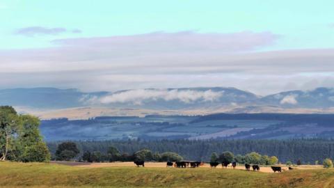 Clouds lay above the distant mountains, with some lower-level ones in front, and fields with cows to the foreground