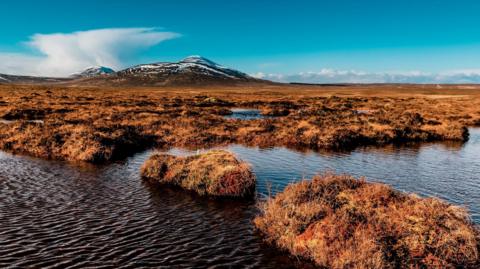 A view across lochans and peatbog to a hills with patches of snow at Forsinard in the Flow Country Unesco World Heritage Site. The lochan's waters are almost black in colour, while short, brown vegetation covers the peatbog.