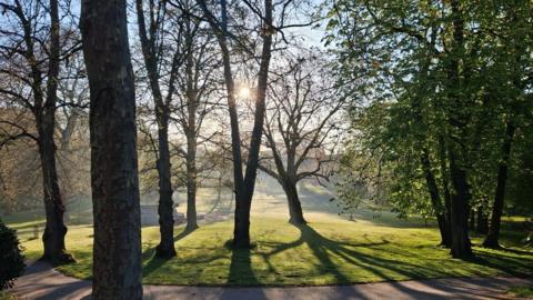 The sun is rising in the blue sky behind trees in a park