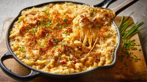 Butternut squash macaroni
