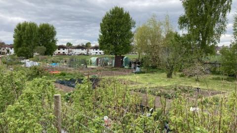 Adelaide allotments, Carlisle