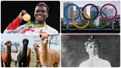 Top left: Nicola Adams. Top right: Olympic rings. Bottom left: Alpacas. Bottom right: Charlotte Cooper.