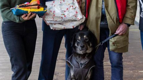 A dog posing with a parcel