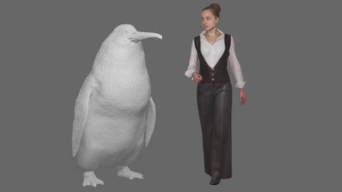 A model of the penguin