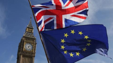 An EU flag and a Union flag is held by a demonstrator is seen in front of the Houses of Parliament in London