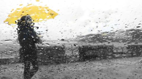 Person with umbrella through rain-covered glass