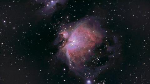 The Orion Nebular