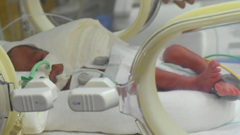 One of the nonuplets in an incubator in Casablanca, Morocco