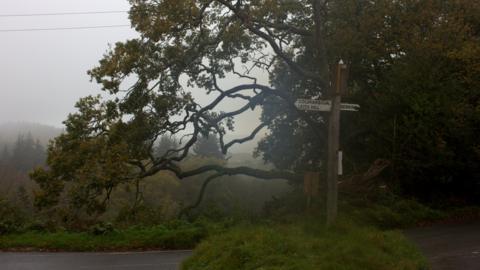 Coldharbour Lane, Surrey Hills