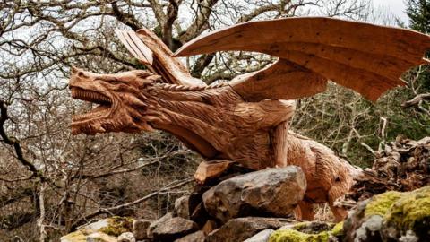 Y ddraig dderw