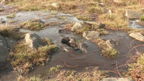 In wet weather the erosion scar turns into a muddy quagmire