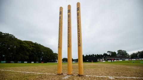 A view of cricket stumps